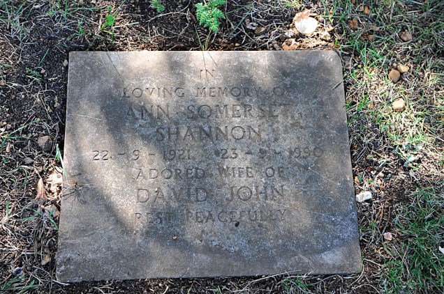 clifton-hampden-shannon2